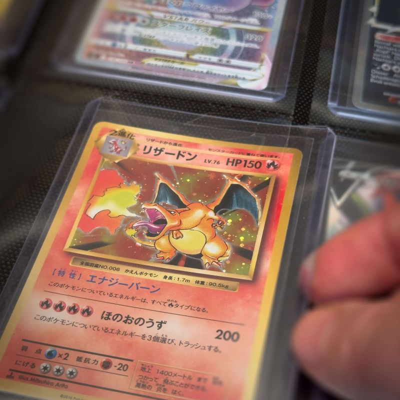 Protect Your Monsters - TopLoader Binder - Dragon Schwarz