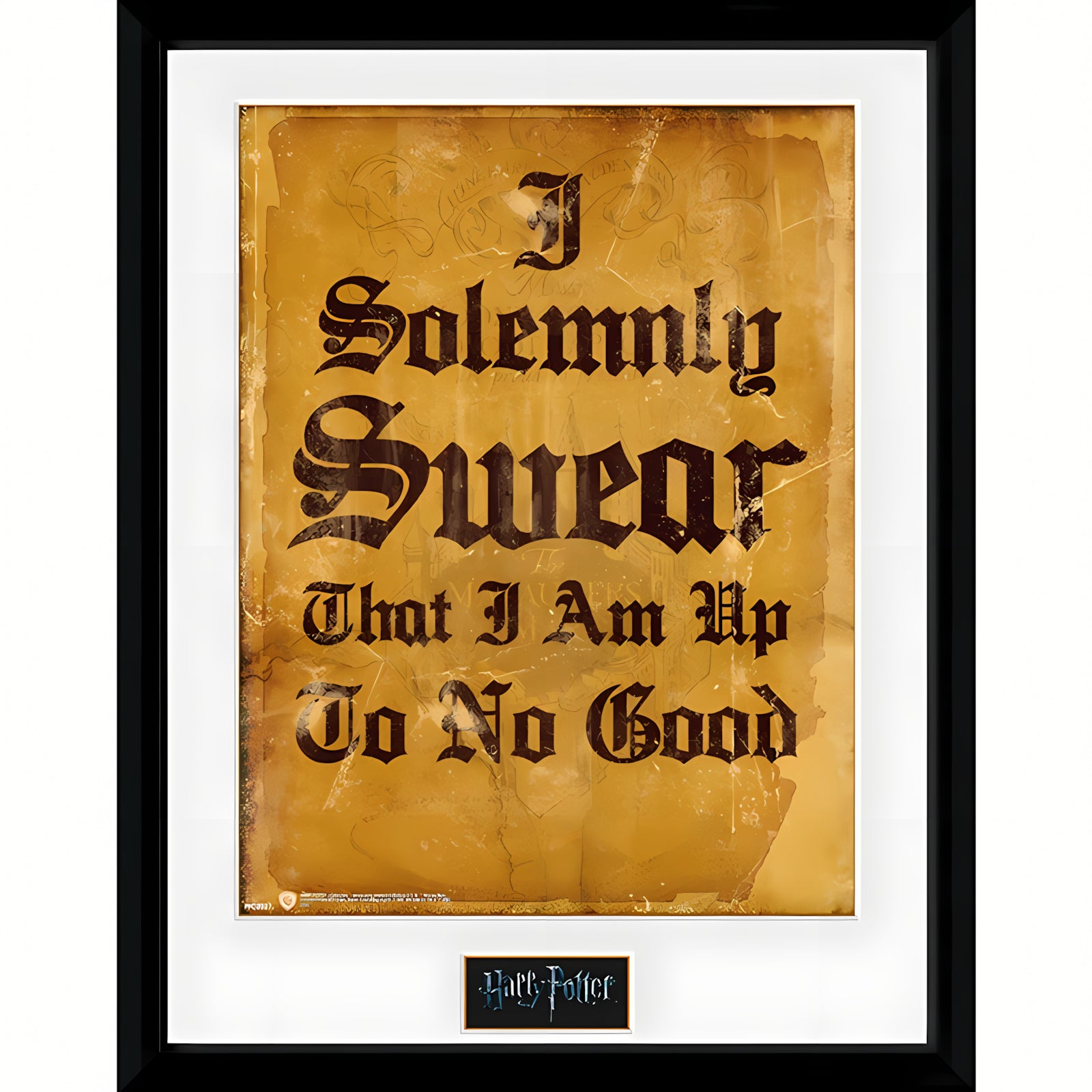 Inspiring Harry Potter I Solemnly Swear Pictures